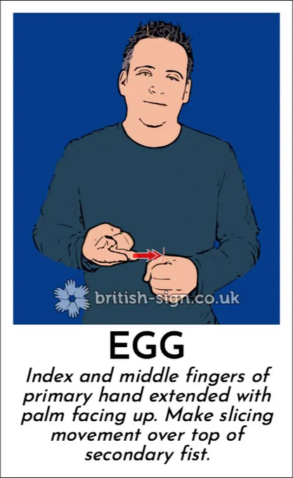 Illustration of person signing the BSL sign for "egg" with the caption "Index and middle fingers of primary hand extended with palm facing up. Make slicing movement over top of secondary fist.".