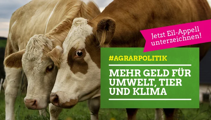 Zwei Kühe stehen auf der Weide, im Hintergrund sind Häuser zu sehen. darauf der Text: #Agrarpolitik Mehr Geld für Tier, Klima und Umwelt! Jetzt Eil-Appell unterzeichnen!