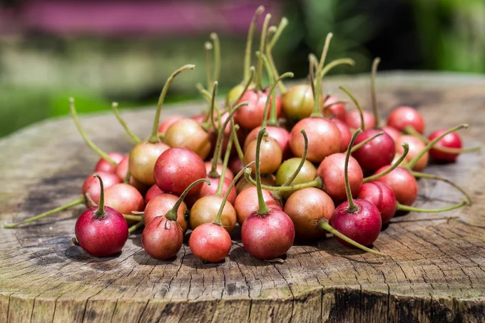 cherry, fruit, fresh