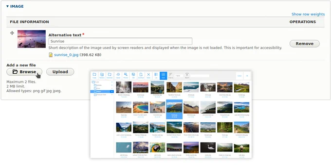 Drupal file fields: Flmngr will help you to choose files in such fields.