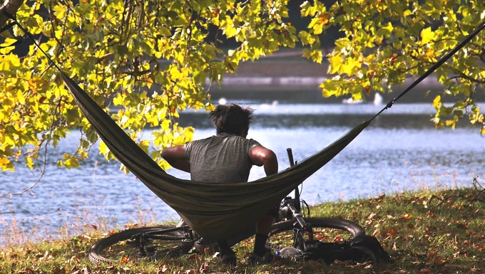 man, hammock, autumn