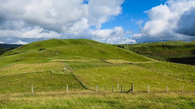 The Brignant Plots in Wales