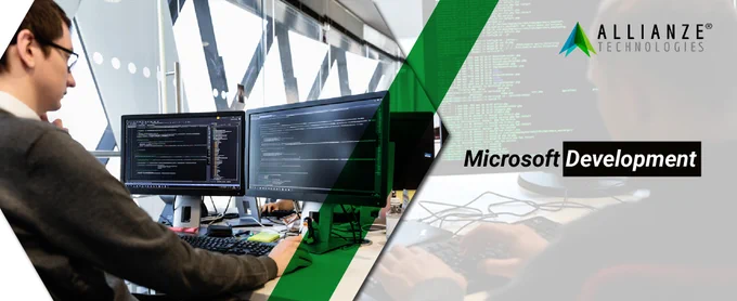microsoft development services