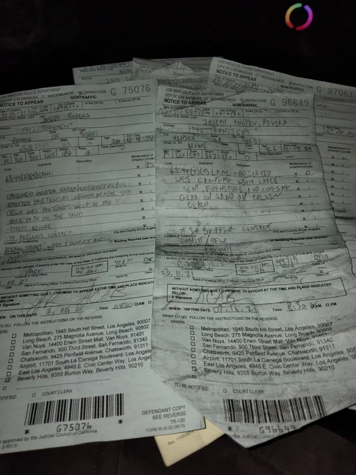 63.44(I) (9)LAMC Ticket for camping. 
Signature ACAB.