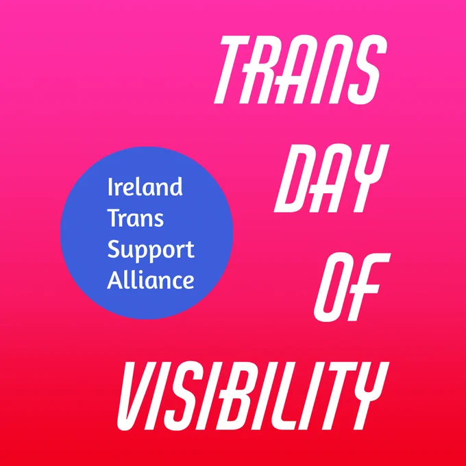 First image has large white text on a pink and red background, with a blue circle beside it. The main text reads 'Trans Day of Visibility'. The circle also contains white text, which reads 'Ireland Trans Support Alliance'.