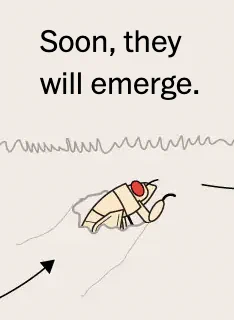 Illustration of a Brood X cicada with the text "Soon, they will emerge."