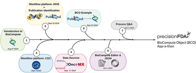 Figure 3. User BCO training process.
The BioCompute training unit (1) introduced participants to the concept of BioCompute, (2) offered hands-on exercises with two genome analysis platforms (HIVE and CGC), (3) familiarized participants with a prominent literature resource (PubMed), (4) introduced the concept of data sources [through the OncoMX knowledgebase (https://www.oncomx.org/)], (5) described the process of finding a suitable publication with an associated open source pipeline, (6) introduced the JSON language as a suitable segue into training users on the BCO Portal (previously BCO Editor) and (7) provided users with a Q&amp;A opportunity prior to final submission of BCOs to the precisionFDA BCO App-a-thon.