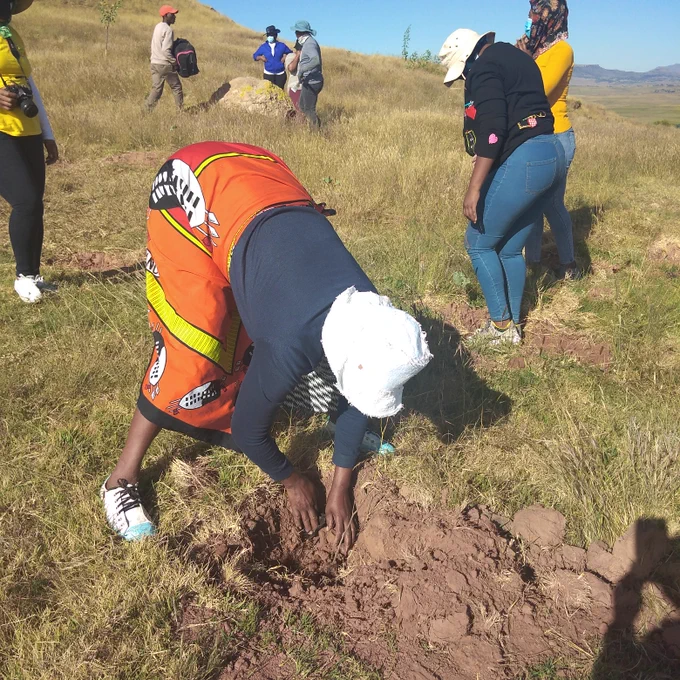 The community of Qhomane plant trees to commemorate International Day of Forests