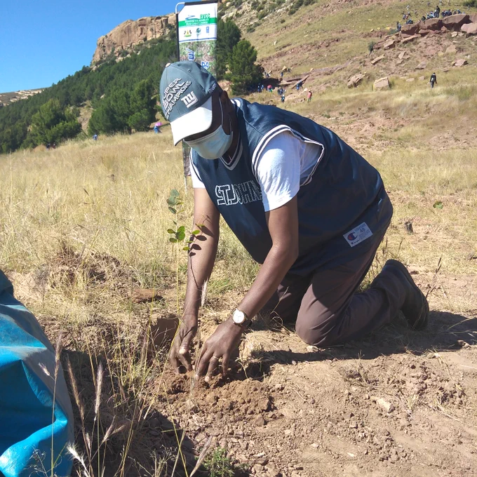 PS Forestry, Range and Soil Conservation Planting trees @Qhomane