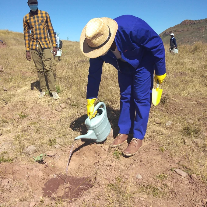Hon. Minister of Forestry, Range and Soil Conservation leading tree planting to commemorate International Day of Forests @ Qhomane on 19th March 2021