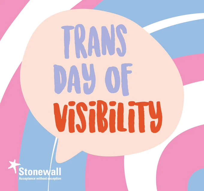 The graphic says: Trans Day Of Visibility - Stonewall in the trans flag colours.