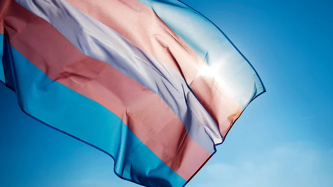 Trans flag flying against a blue sky