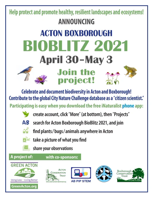 2021 Acton Boxborough BioBlitz. Be a Citizen Scientist! Celebrate & protect local biodiversity🌺🐦 4/30 - 5/3. Easy & Free with iNaturalist phone📲app. 
AB PIP STEM is a AB Bioblitz Sponsor! 
Thanks! Be Safe😷  enjoy! Info @ greenacton.org