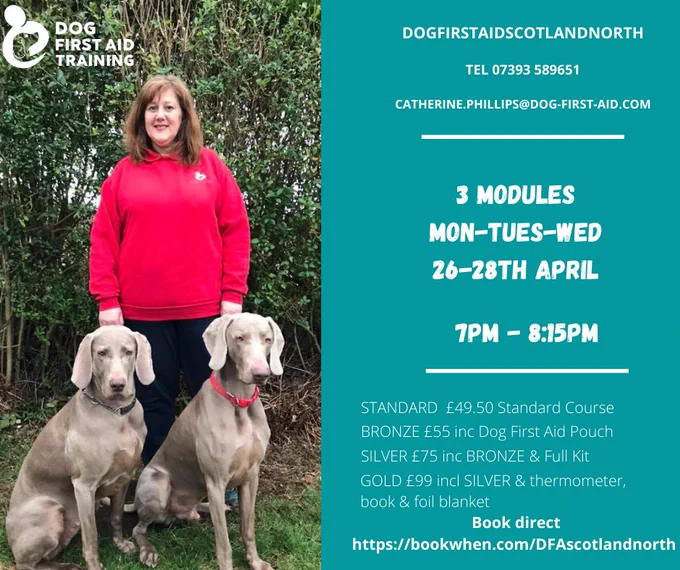 LIVE Dog First Aid course for Dog lovers & Dog professionals CPD accredited