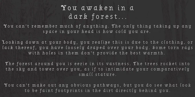 You awaken in a dark forest...
You can't remember much of anything. The only thing taking up any space in your head is how cold you are.
Looking down at your body, you realize this is due to the clothing, or lack thereof, you have loosely draped over your body. Some torn rags with holes in them don't provide the best warmth.
The forest around you is eerie in its vastness. The trees rocket into the sky and tower over you, as if to intimidate your comparatively small stature.
You can't make out any obvious pathways, but you do see what look to be faint footprints in the dirt directly behind you.