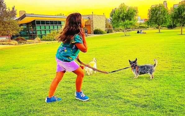 In high saturated colors, a child in summer clothes plays in a green grass field with two small dogs on leash. The sky is bright and yellow, their hair in the wind.