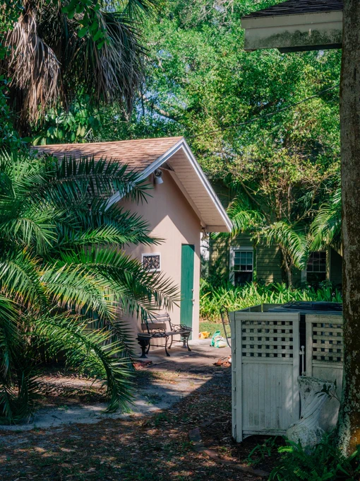 Shed surrounded by plants