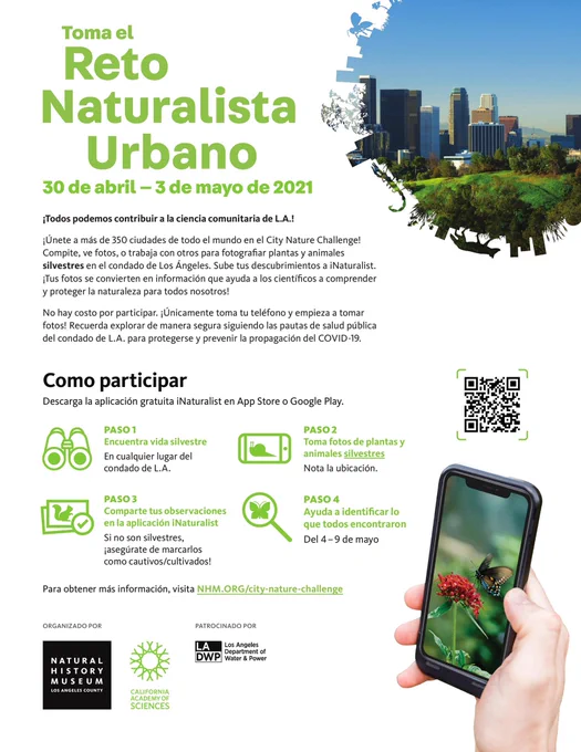 A flyer regarding the City Nature Challenge activity using the iNaturalist app.