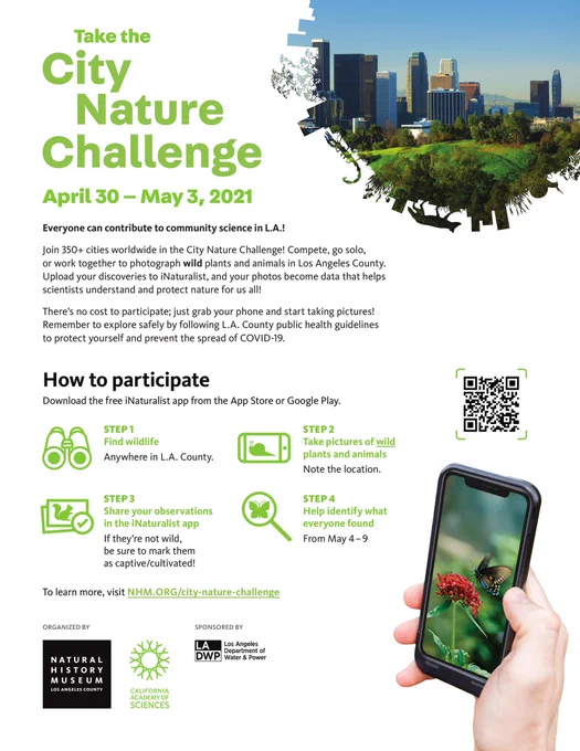 A flyer regarding the City Nature Challenge activity using the iNaturalist app.