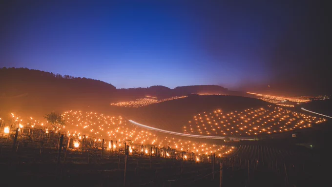 Merci Titouan Rimbault pour cette photographie réalisée à Chablis.