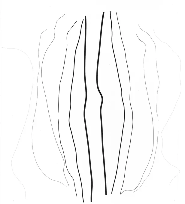 An example image from the linked public image set showing a greyscale scan of 12 copper wires with varying diameter and approximately equal lengths.