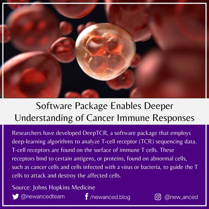 Researchers have developed DeepTCR, a software package that employs deep-learning algorithms to analyze T-cell receptor (TCR) sequencing data. T-cell receptors are found on the surface of immune T cells. These receptors bind to certain antigens, or proteins, found on abnormal cells, such as cancer cells and cells infected with a virus or bacteria, to guide the T cells to attack and destroy the affected cells.