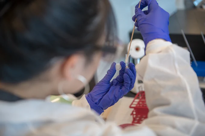The image focuses on a female student's hands, covered in purple gloves, as she inserts a swab into a tube. She appears to be brunette and wearing glasses and large hoops earrings, but we can only see the back of her head and she is out of focus. 
