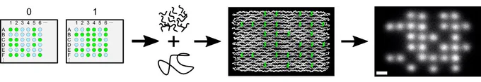 assembling binary data in DNA origami for super-resolution microscopy.