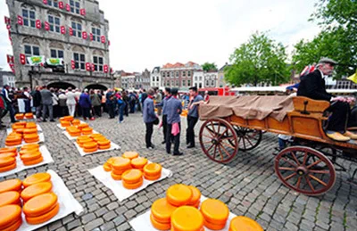 a dutch town's market square full of stands selling gouda cheese