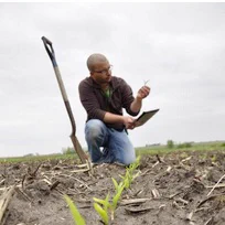 Crop scouts can use many different tools and techniques when scouting a field. Knowledge and experience are the best tools, however.