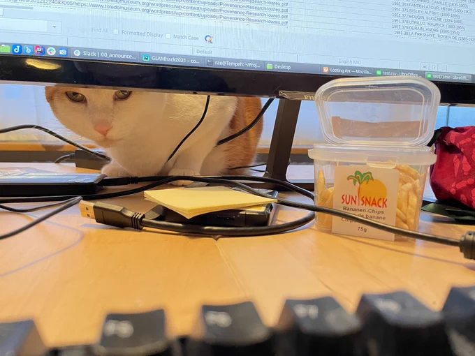 A white-and-ginger cat looks through the gap between a computer screen and the table it stands on. A tub of banana chips is in front of the screen.