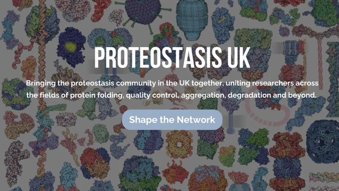 Screen capture of the ProteostasisUK website. Text reads: ProteostasisUK: bringing the proteostasis community in the UK together, uniting researchers across the fields of protein folding, quality control, aggregation, degradation and beyond. Button reads: Shape the Network.