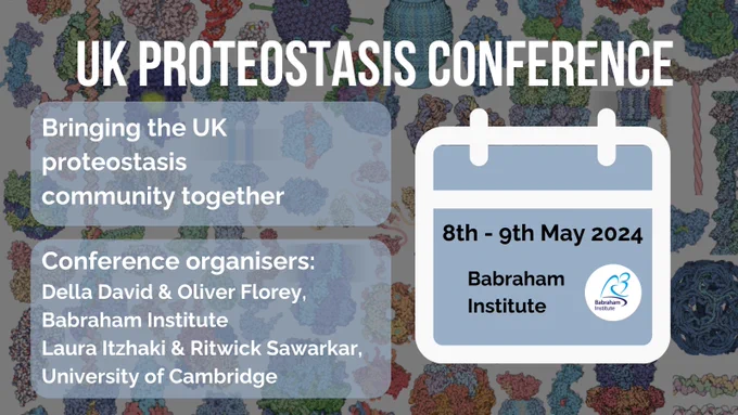 UK Proteostasis Conference. Text reads: Bringing the UK proteostasis community together. Conference organisers: Della David & Oliver Florey, Babraham Institute, Laura Itzhaki & Ritwick Sawarkar, University of Cambridge. 

Calendar graphic shows the event date: 8-9 May 2024 at the Babraham Institute.  