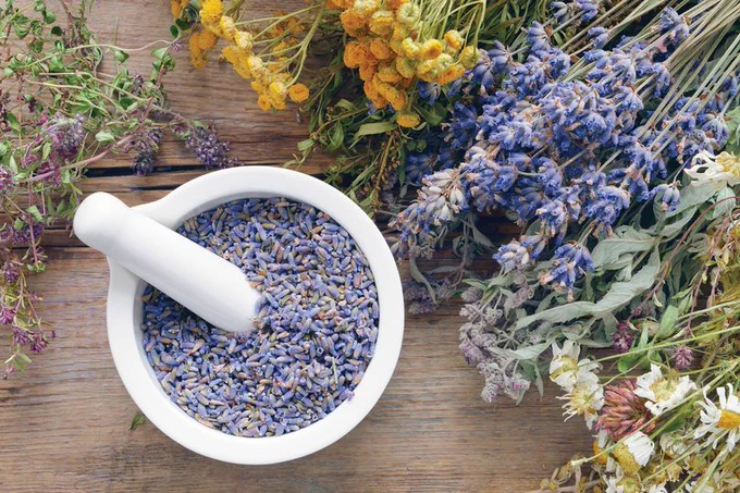 A white bowl with a small white grinder is full of purple lavender petals. It sits on a wooden table surrounded by other herbs. 