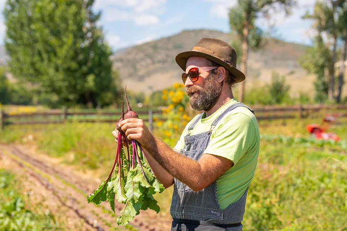 An adult with a hat, sunglasses, green t-shirt and denim overalls stands in a field holding a stalk of a leafy green plant with red stems.