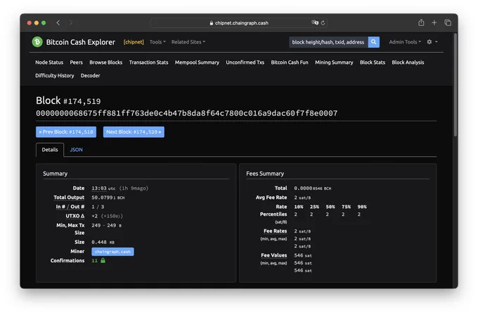 A screenshot of a Bitcoin Cash chipnet block explorer displaying block #174519 with block header hash "0000000068675ff881ff763de0c4b47b8da8f64c7800c016a9dac60f7f8e0007".