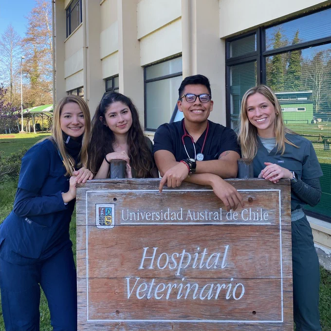 Purdue Veterinary Student, Allison Jones (right) with 3 smiling individuals standing outside a building, leaning on a wooden sign that reads "Universidad Austral de Chile - Hospital Veterinario". The backdrop shows a part of the building and some trees.