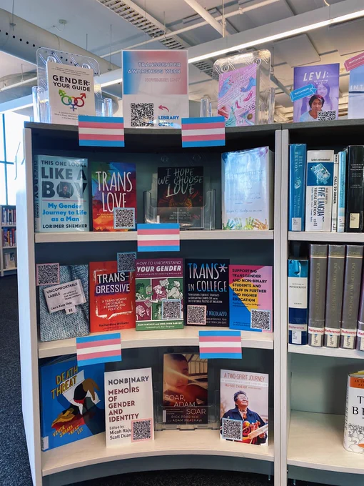Book display with transgender flags