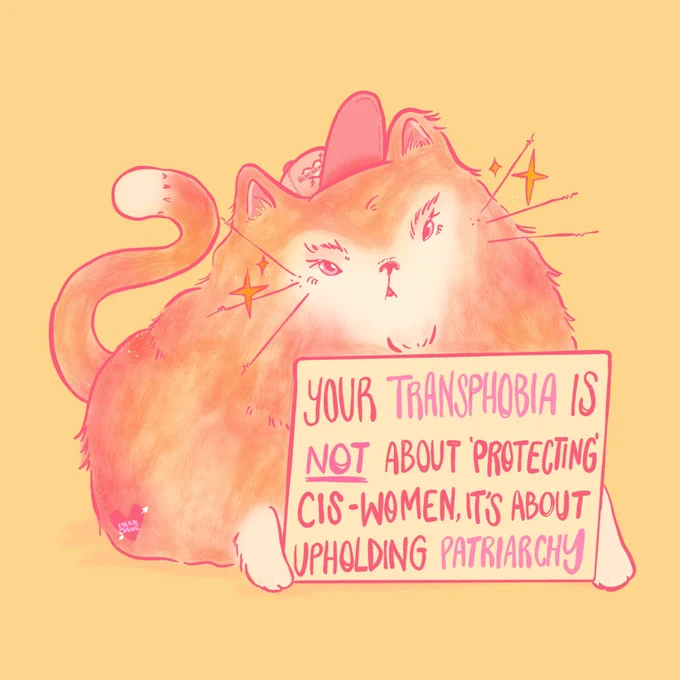 [digital illustration of a orange cat wearing a cap and holding a sign that reads ‘your transphobia is not about ‘protecting’ cis-women, it’s about upholding patriarchy.’
