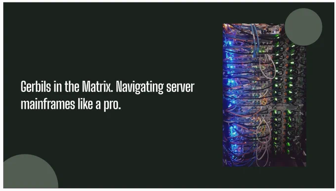 Gerbils in the Matrix. Navigating server mainframes like a pro.