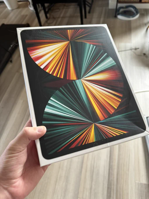 Hand holding an iPad Pro box