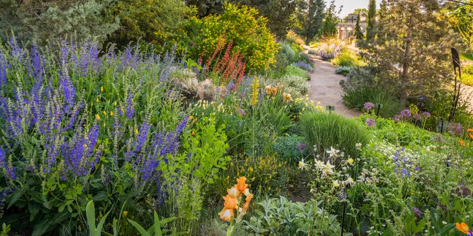 summer flower garden scene with flowers in hues of purple, red, orange, white and yellow.