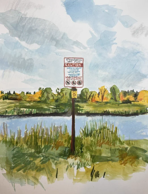 A stormwater sign sits in front of an autumnal forest with a lake in the mid ground