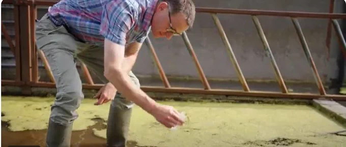 Man standing in water on farm
