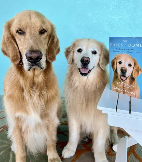 Golden retrievers Guacamole and Venkman with a copy of their absolute favorite book (and your next favorite book), The Purest Bond: Understanding the Human-Canine Connection
Venk, who is on the book cover, looks happy (exactly like she looks on the cover). Guac looks a little sad that he is not on the cover but still has to be in this photo.