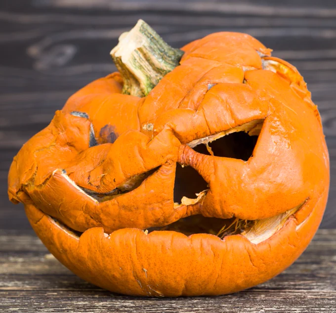 Rotting Jack-o-Lantern