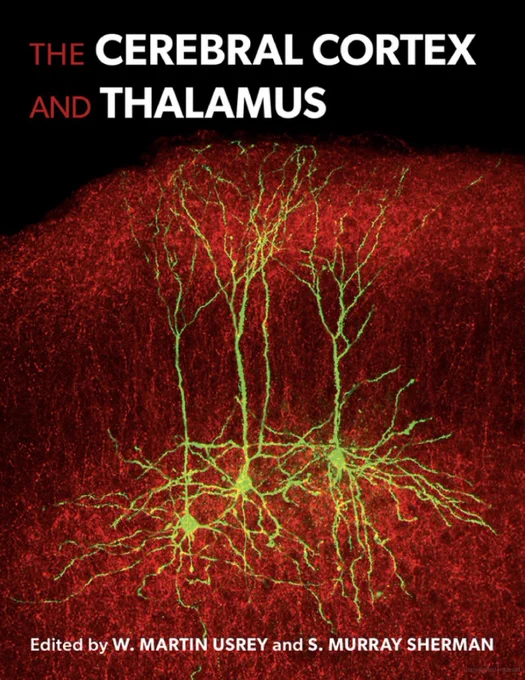 DOI: 10.1093/med/9780197676158.001.0001

The thalamus has often been treated as a minor, rather insignificant player in cortical functioning. In the not too distant past, the thalamus was considered a rather boring, machine-like relay of subcortical information to the cortex. Over the past decade, there has been a groundswell of new and renewed interest in the thalamus and thalamocortical interactions, leading to discoveries demonstrating the thalamus's ongoing and essential role in cortical functioning and, likewise, the significance of the cortex for thalamic functioning.

The Cerebral Cortex and Thalamus is a groundbreaking volume bringing together a cohesive account of cortical and thalamic mechanisms for control of behavior with an emphasis on the importance of interactions between the two structures. The book elucidates the research that makes it increasingly clear that the cortex and thalamus are necessary partners for sensory, motor, and cognitive functions. Interactions betwee