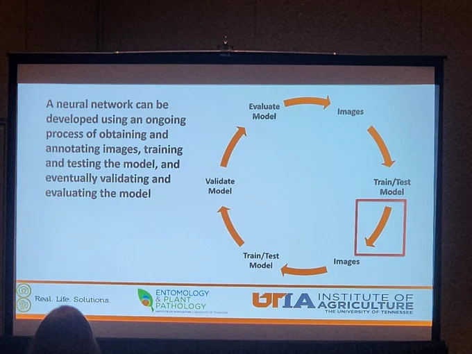 Image of the methods for the development of model