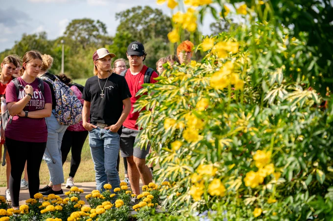 A large bush with yellow blooms is pictured to the far right, while a group of students pictured in the background admiring the landscape during a campus tour. 