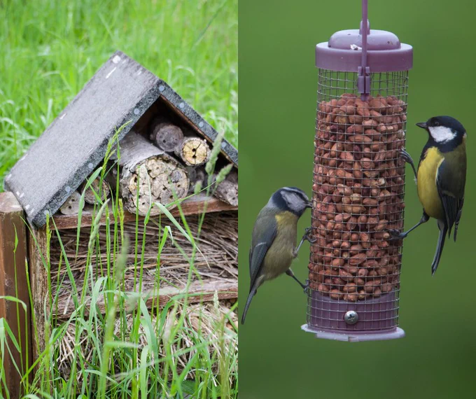 bug hotel and bird feeder